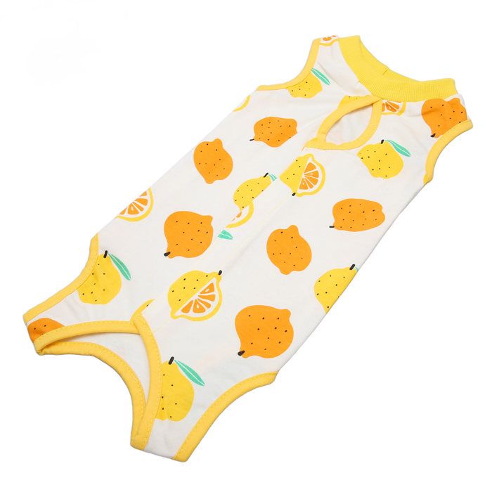 Meilleurs prix pour OMABETA Cat Suit de récupération chirurgicale Cat chirurgical Recovery Suit respirable animalerie ensemble XL pour 160-165 cm