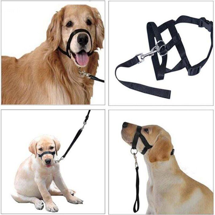Licol pour chien - MICH - Taille 3 - Noir - Réfléchissant - Bande de nez rembourrée - Réglable
