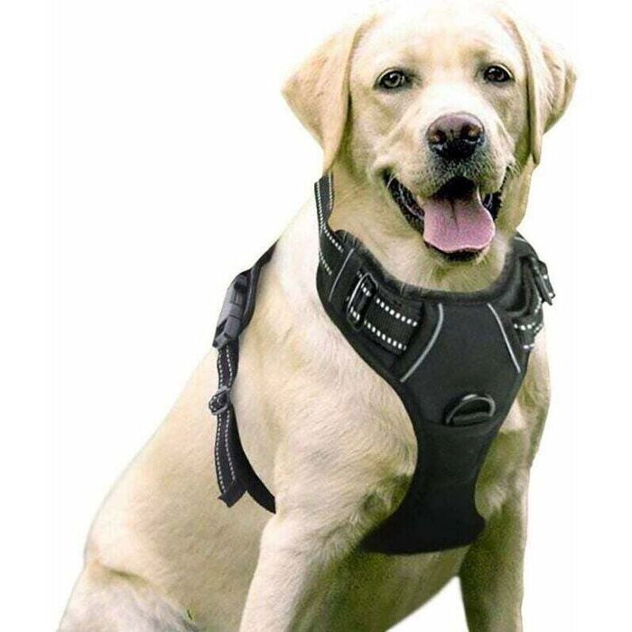 Harnais anti-traction pour chien facile à installer réfléchissant et réglable avec fermeture frontale pour chiens de taille