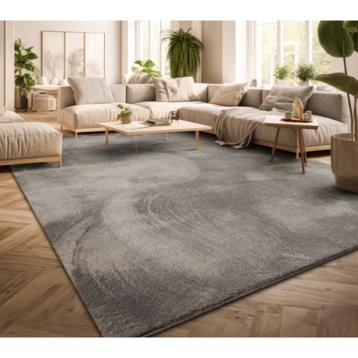 Tapis Gris Salon