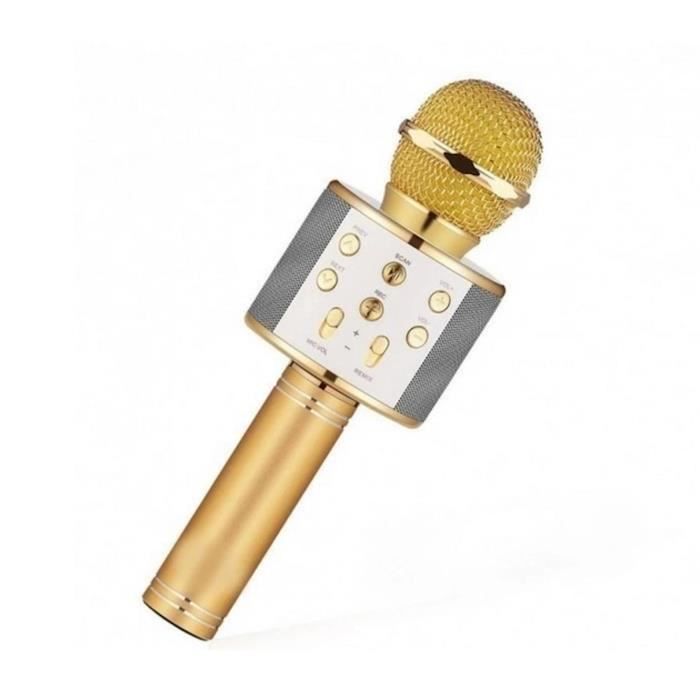 Riff WS 858 Microphone karaoké avec haut parleurs AUX et Micro SD Or Neuf - vue 2