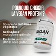 100% VEGAN PROTEIN (900g)| Protéines Végétales|Chocolat Noisette|Superset Nutrition-2