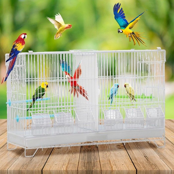 Figurine Vitrail – Fille, Cage à Canari Et Oiseau – Neuve