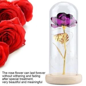 Rose Éternelle Sous Cloche La Belle Et La Bête Avec Lumière LED - Cadeau Romantique Pour Femme, Maman Ou Petite Amie
