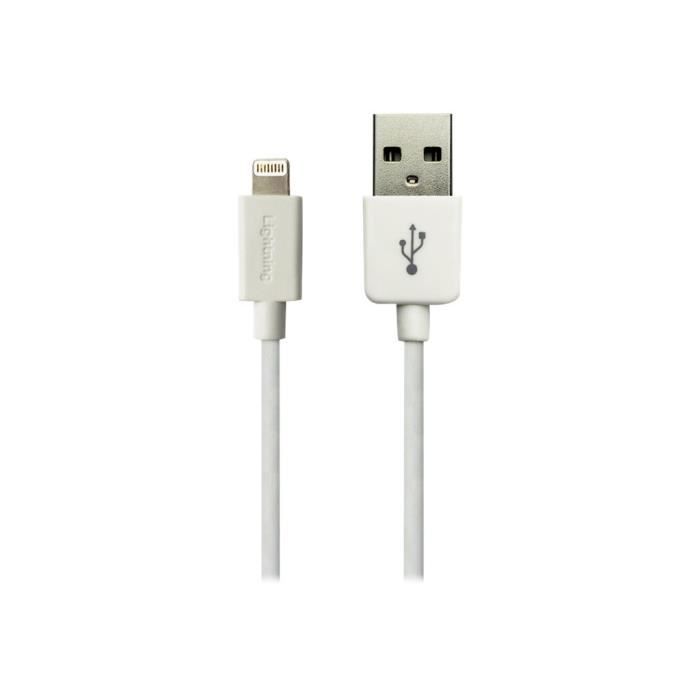 Sandberg - Câble Lightning - USB (M) pour Lightning (F) - 2 m - pour Apple iPad-iPhone-iPod (Lightning)