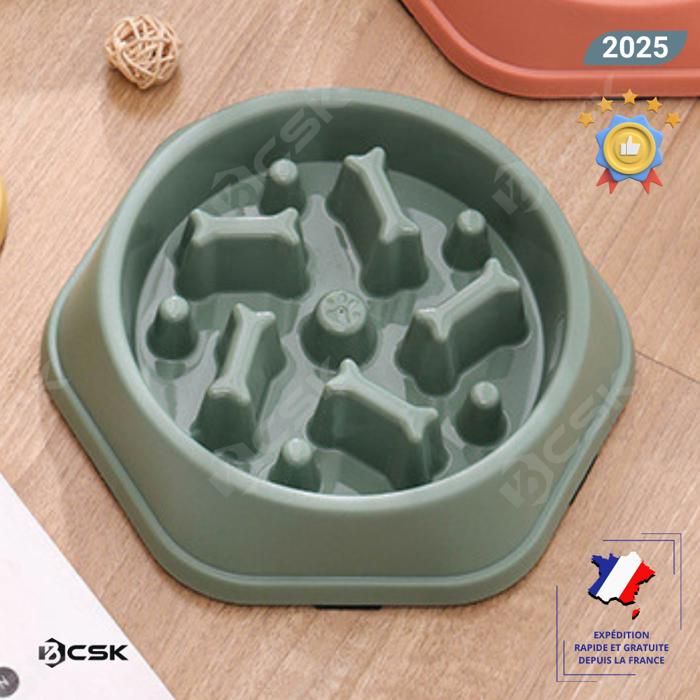 Meilleurs prix pour Gamelle anti glouton pour chien BCSK® | Gamelle chien chat animaux domestiques – favorise la digestion – Anti vomissement - Vert