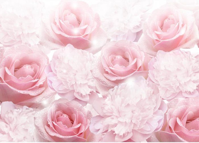 Papier Peint 3D Autocollant – Fleur Rose H532 – Déco Murale Amovible Sinsin