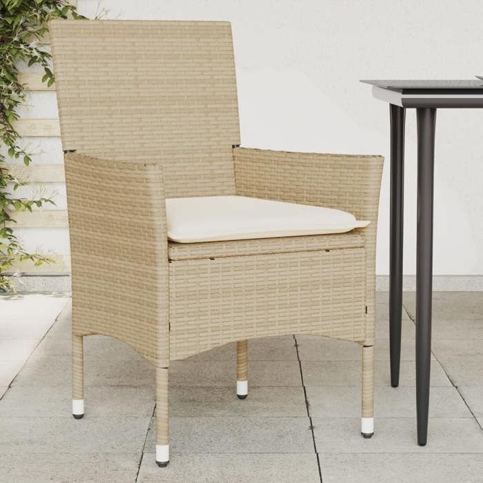 vidaXL Lot de 2 Chaises de Jardin avec Coussins Sièges avec Accoudoirs Fauteuils avec Dossier Meubles de Terrasse 368113