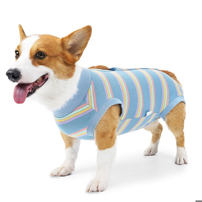 Comparer les prix de 1 vêtement pour chiens de grande et moyenne taille. Vêtements de récupération postopératoire pour stérilisation canine.