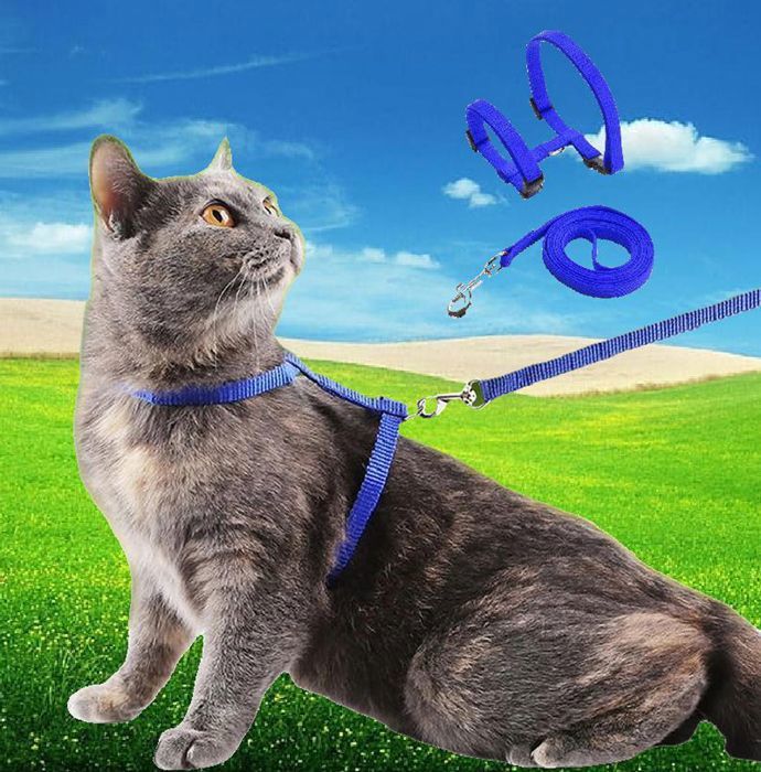 Harnais chat + Laisse chat Collier chat Promenade chat Bleu