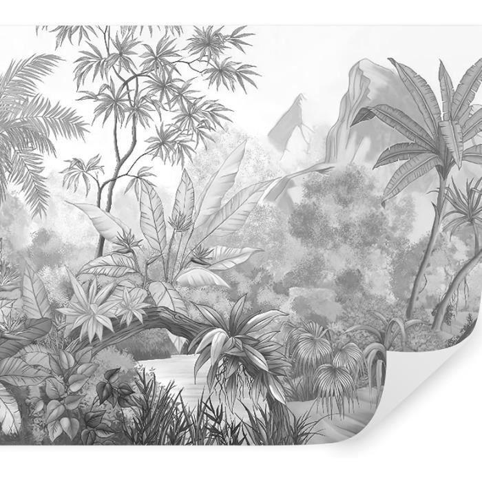 Papier Peint Panoramique Elégant Jungle 360x250 cm Tropiques en noir et ...