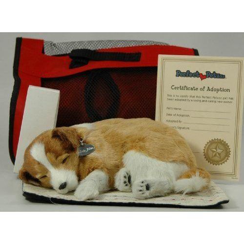 perfect petzzz chien