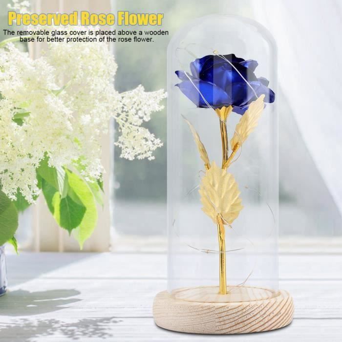 Cloche En Verre Transparent Avec Base En Bois Massif - 11,75x30,5 Cm, Idéale Pour Fleurs éternelles, Terrariums Ou Bougies