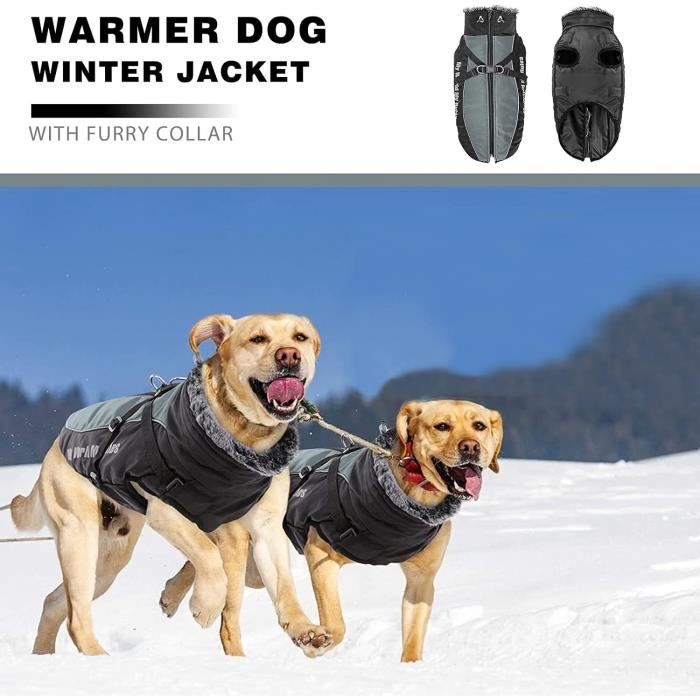 Manteau imperméable pour online grand chien