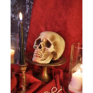 Plaque Murale Métal Tête De Mort – Your Hell – 40x30 Cm – Déco Rock