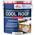 Cool Roof - Peinture toiture réfléchissante, anti uv, imperméalisante, auto nettoyante : Arcareflect - 2.5 L - Blanc 2,5 L-0