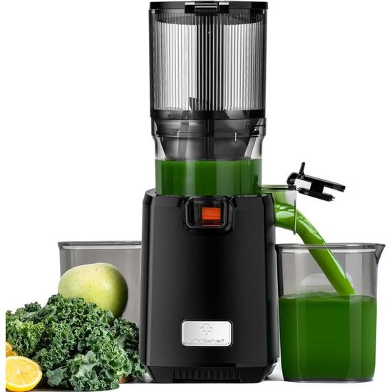 Aobosi Extracteur de Jus Vertical Slow Juicer 80mm Large Bouche
