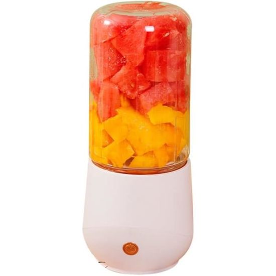 Rainpal Mixeur Portable USB 500 Ml – Blender Sans Fil Shakes & Smoothies 6 Lames