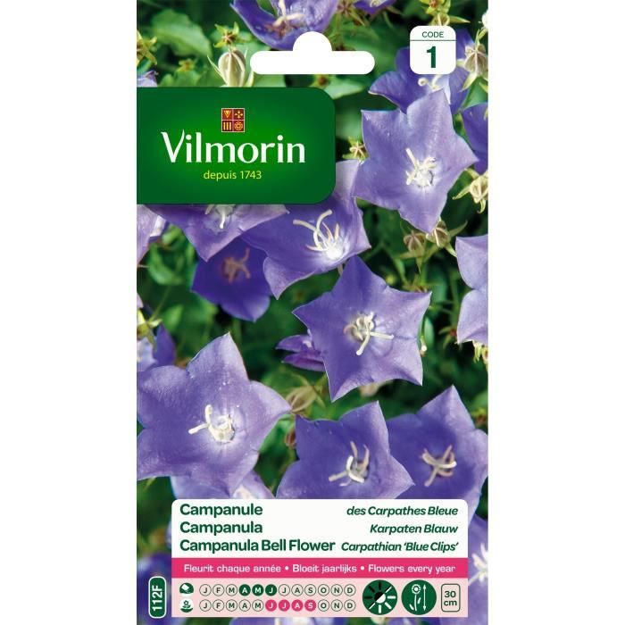 VILMORIN Campanule des Carpathes bleue