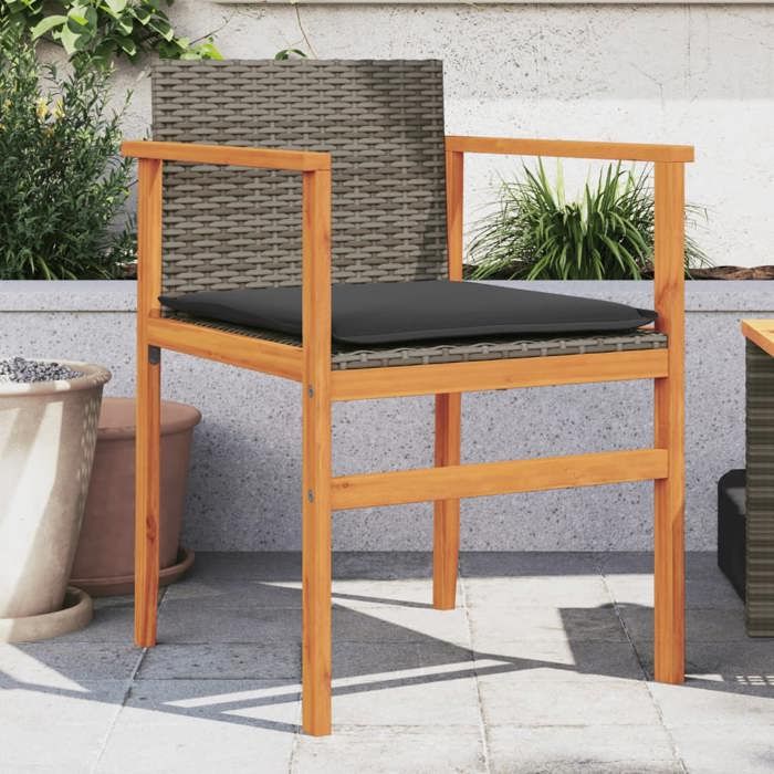 vidaXL Lot de 2 Chaises de Jardin avec Coussins Sièges avec Accoudoirs Fauteuils de Terrasse Patio Moderne Gris Résine 368712