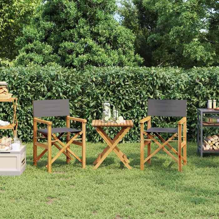 Gris Chaises de metteur en scène pliantes lot de 2 Bois teck massif - Siège de balcon LV65547