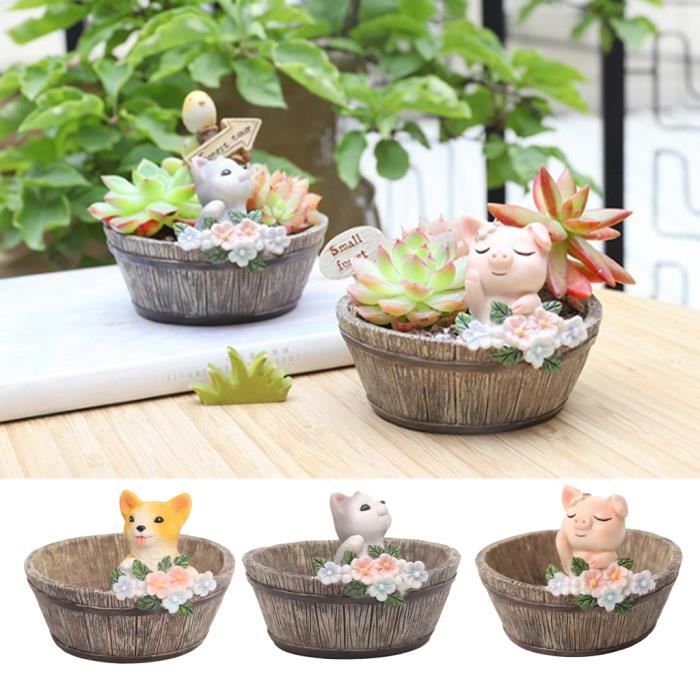 Kit De 3 Bac A Fleurs Pot Succulentes Creatif Chat Jardiniere Porteurs Achat Vente Jardiniere Bac A Fleur 3x Pot De Plante Succulente Cdiscount Kit De 3 Bac A Fleurs Pot Succulentes Creatif Chat Jardiniere Porteurs Achat Vente Jardiniere Bac A Fleur 3x Pot De Plante Succulente Cdiscount