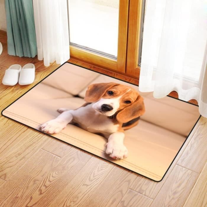 Paillasson Nerdy Beagle - 40.6 X 61 Cm, Absorbant, Antidérapant, Pour Porte
