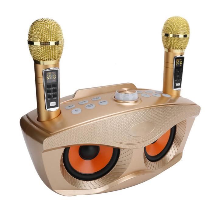 Acheter Mini haut-parleur Bluetooth karaoké extérieur, Portable, avec  Microphone sans fil, carte, caisson de basses, haut Volume, cadeau pour  enfants