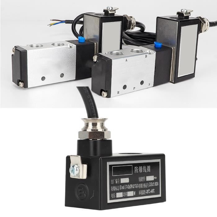 Valve Anti-déflagrante Pour Compresseur YONG HENG 30 MPa - Acier, Dorée, Lot De 10 Disques + Vis