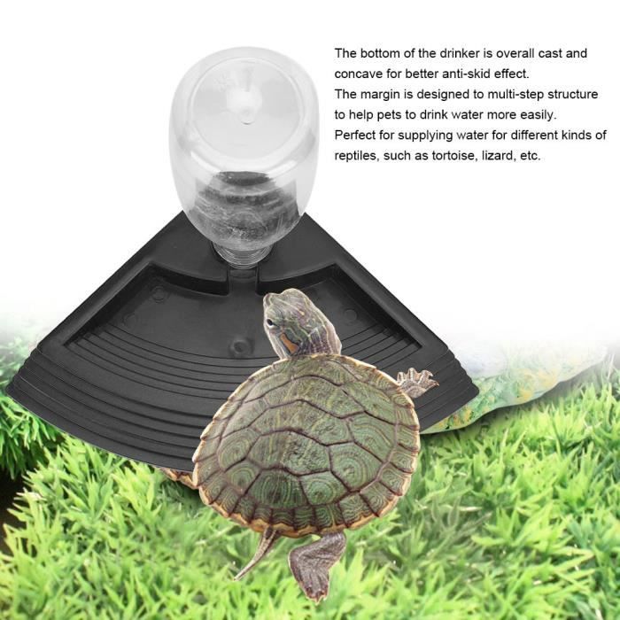 Meilleurs prix pour Distributeur d'Eau Automatique de Reptiles Fontaine à Boire Bol d'Eau pour Lézard Tortue