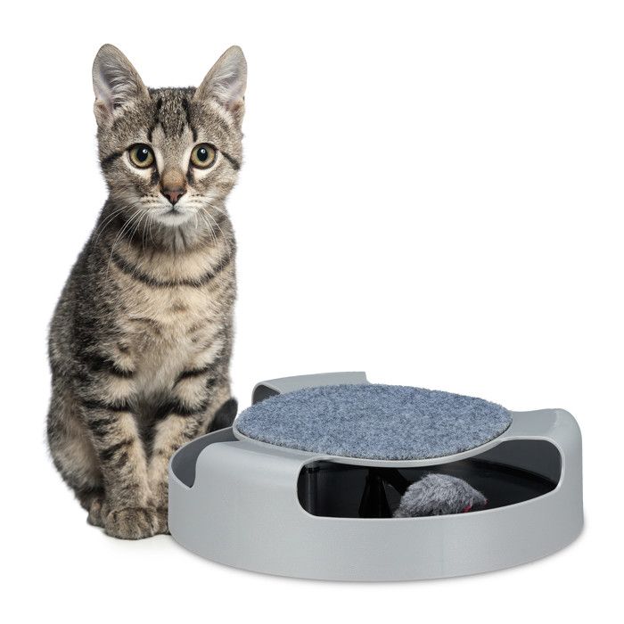 Comparer les prix de Jouet chat circuit avec souris - 10028704-111