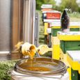 Filtre à Miel Double Tamis avec filtre à miel - en Acier Inoxydable-3