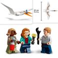 LEGO® 76947 Jurassic World L’Embuscade en Avion du Quetzalcoatlus, Avion avec Figurines de Dinosaures, dès 7 Ans-3