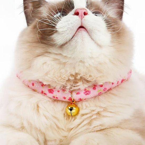 Collier Chat Grelots Pour Chat Collier Chat Elastique Japonais Collier Chat Avec Grelot Rose 01 Large Cdiscount