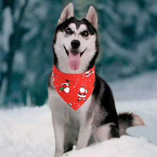 Lot De 4 Bandanas De Noël Pour Chien - Motifs Festifs - Taille Ajustable Petite/moyenne/grande - Pour Chiens & Chats