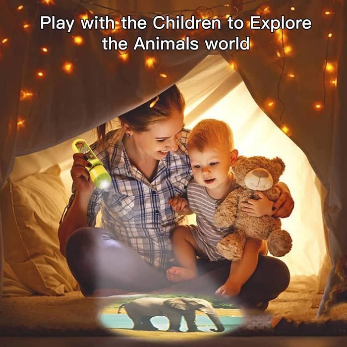 Lampe Torche et Projecteur Animal avec 3 Disques 24 Images, Jouet Lampe de  Poche Projecteur Histoire pour Enfant de 3 Ans et Plus - Cdiscount Bricolage