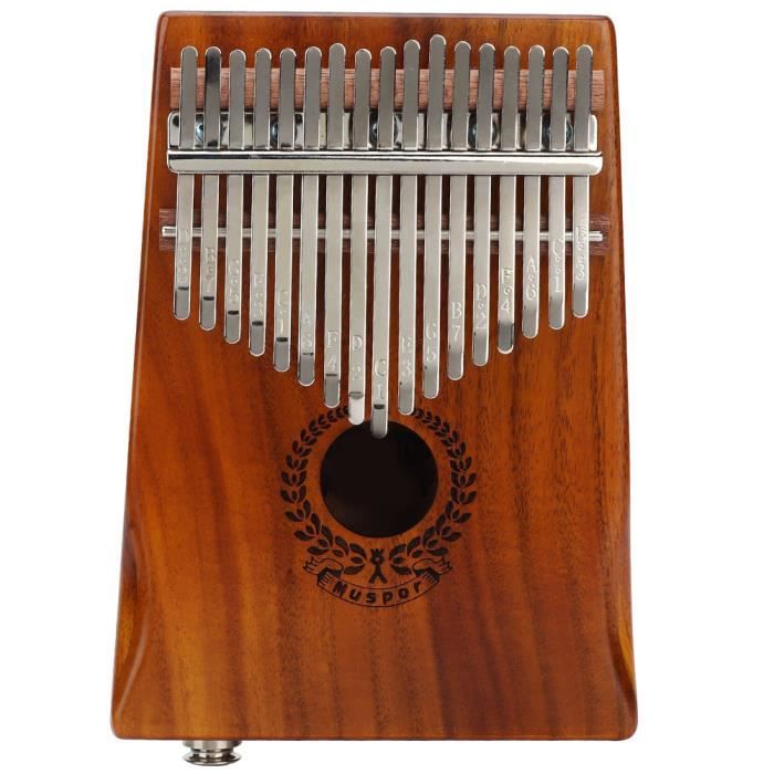Kalimba Thumb Piano 17 Touches, Instruments de Musique Portables Piano  Doigt Faciles à Apprendre avec Dents en Métal, Jack 6,35 - Cdiscount  Instruments de musique