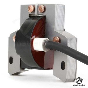 Bobine D'allumage Compatible Moteur Briggs Stratton Remplace En Ance