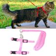 Harnais chat + Laisse chat Collier chat Promenade chat Rose-0