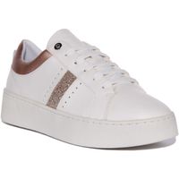Baskets - GEOX - D Skyely A - Blanc or - Femme - Lacets