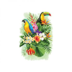 PUZZLE PUZZLE BOIS - WOODEN CITY - Oiseaux des Tropiques 