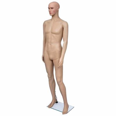Mannequin Couture Réglable Homme/Femme - Buste Avec Hauteur 150-180cm, Base Stable