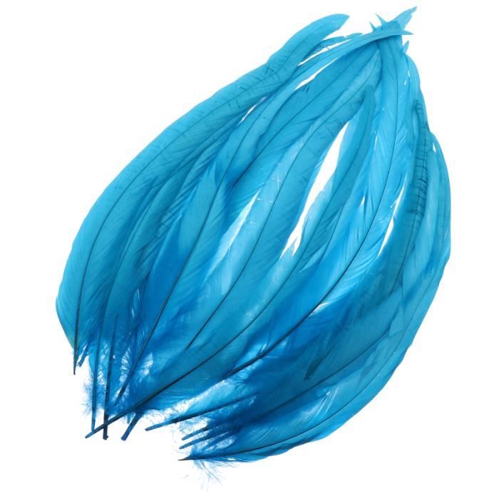 20 pièces Chic mode délicat 30-35 vêtements faisant des matériaux plumes de coq de de queue pour
