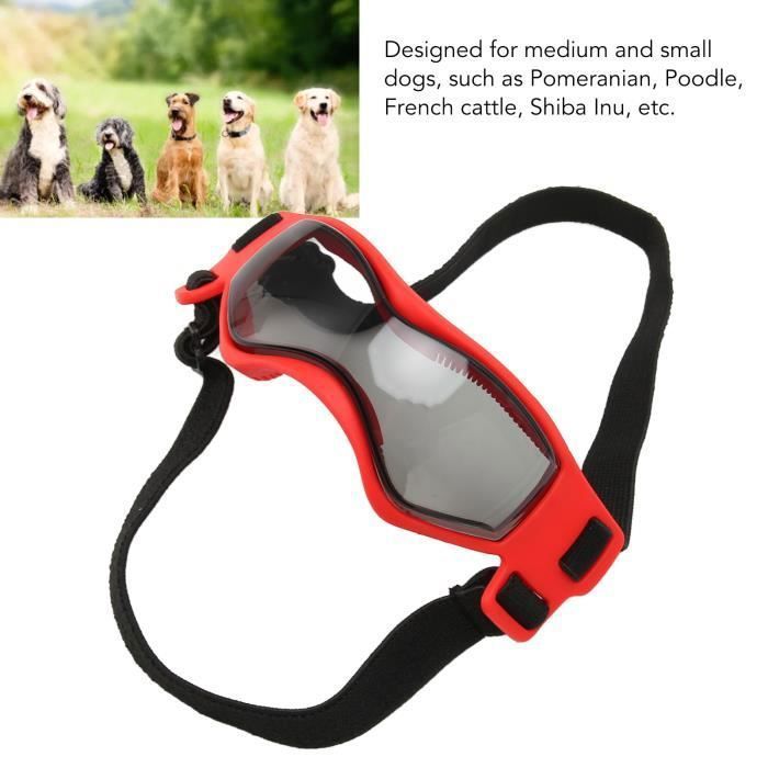 Lunettes pour animaux - RUIDA - Imperméables - Coupe-vent - Sangles élastiques - Réglables - Confortables