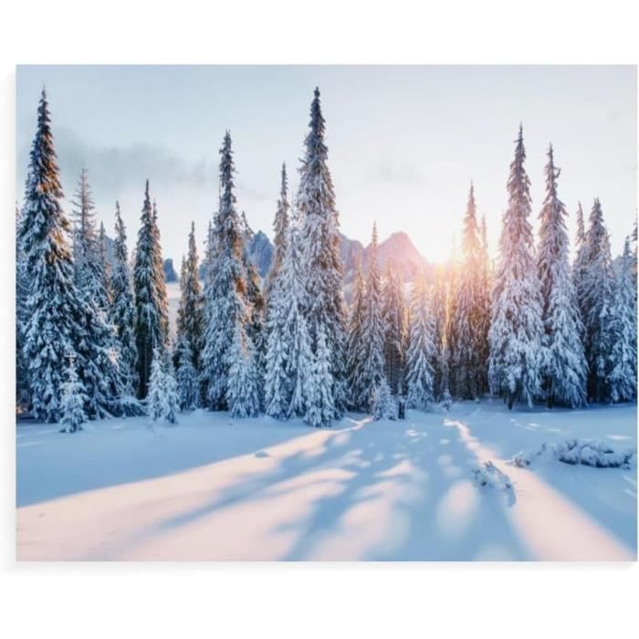 NEWENMO 5D Diamond Painting Village D’Hiver Scène De Neige 30x40 Cm – Kit Complet Pour Adultes Débutants
