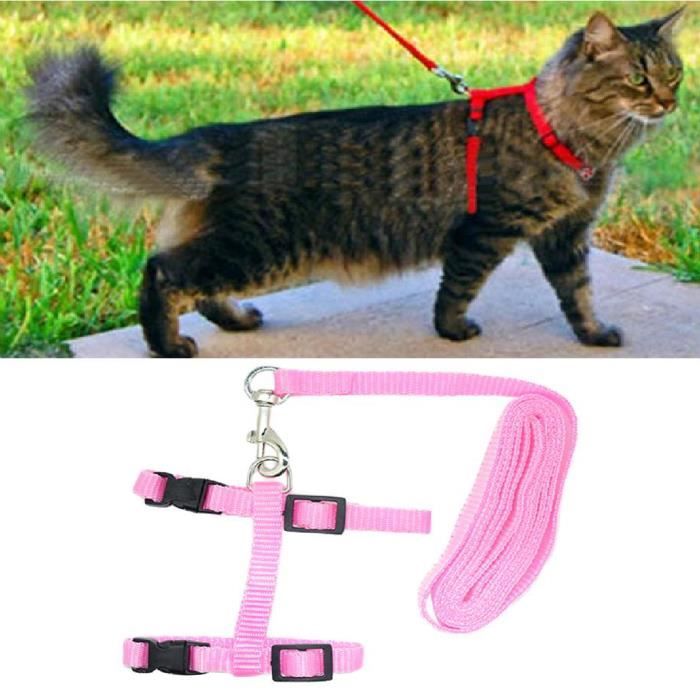 Harnais chat + Laisse chat Collier chat Promenade chat Rose