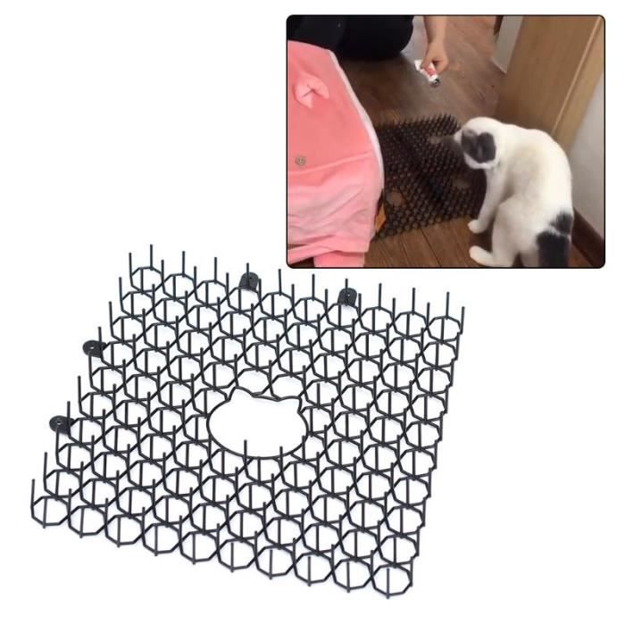 تمييزي حواء المحقق Collier Arbre Anti Chat Sjvbca Org