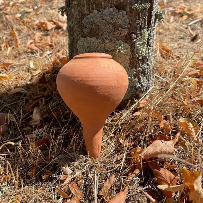 Olla Galet Vert – Irrigation Autonome En Terre Cuite Pour Plantes En Pot – 15 Cl, Autonomie 2-5 Jours – Fabriqué Artisanalement En France
