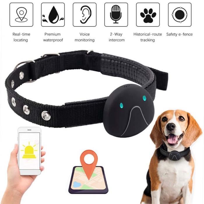 دواسة قانوني يجري بيطء Collier Chat Avec Puce Gps Balestron Com دواسة قانوني يجري بيطء Collier Chat Avec Puce Gps Balestron Com