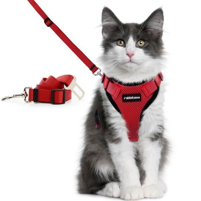 Harnais Chat Chaton Reglable Avec Laisse Reflechissant Pour Voiture Pour Petit Chien Anti Fuite Couleur Rouge Taille S Cdiscount Harnais Chat Chaton Reglable Avec Laisse Reflechissant Pour Voiture Pour Petit Chien Anti Fuite Couleur Rouge Taille S Cdiscount